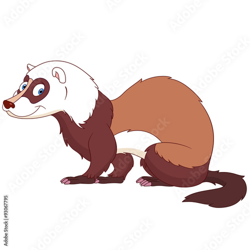 cute polecat