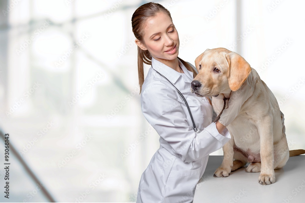 Veterinarian.