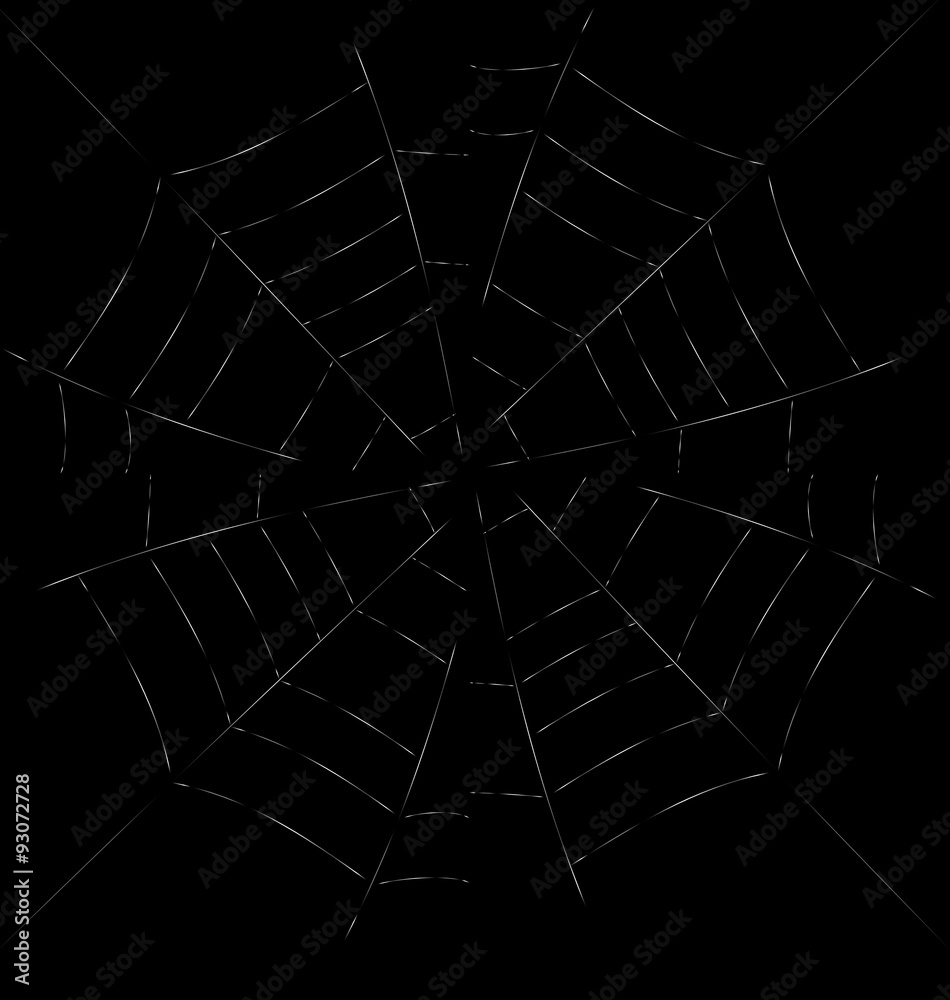 Obraz premium Trap Spider Web