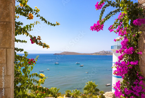 Clear blue waters and flowers at a lighthouse