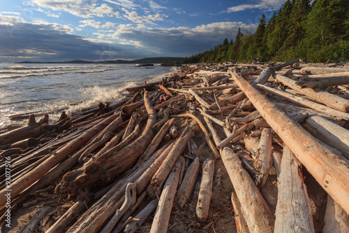 Driftwood at shore of Lake Superior photo