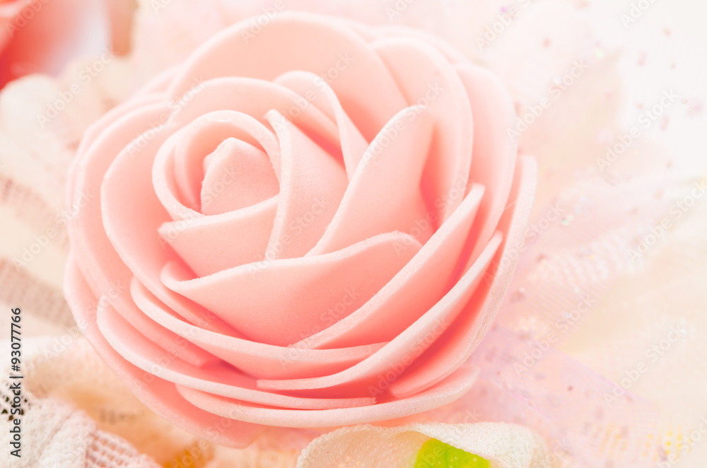 Center of pink rose.