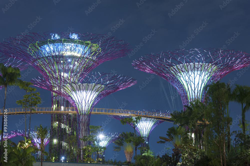 Fototapeta premium Gardens by the Bay in Singapore