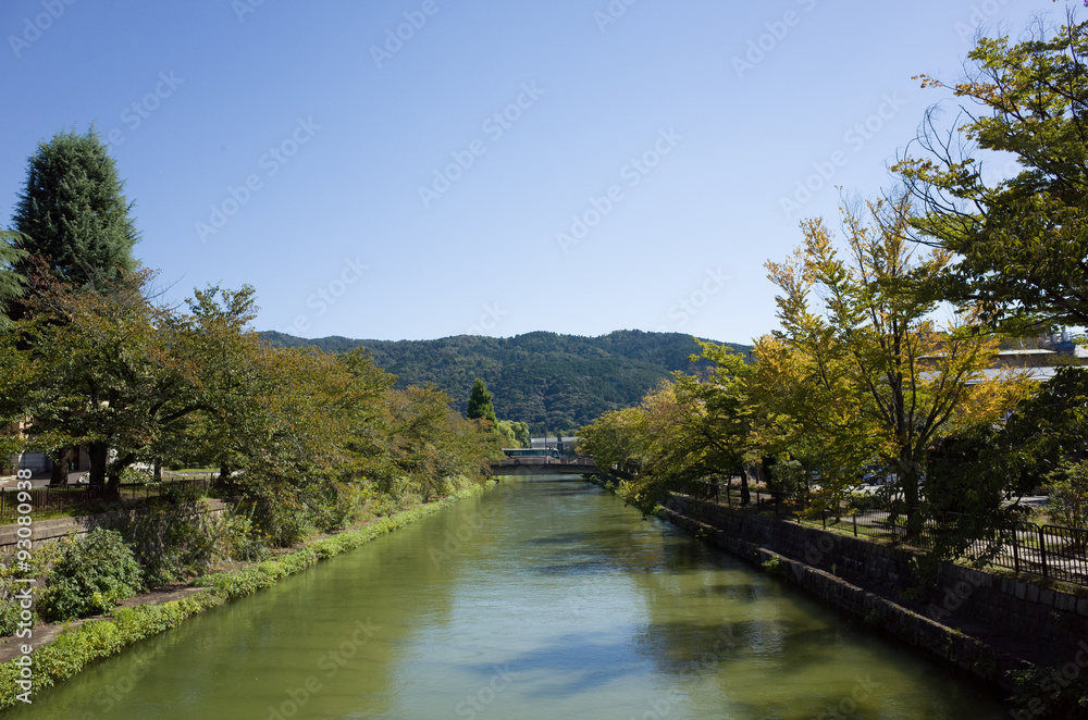 京都 平安神宮の川