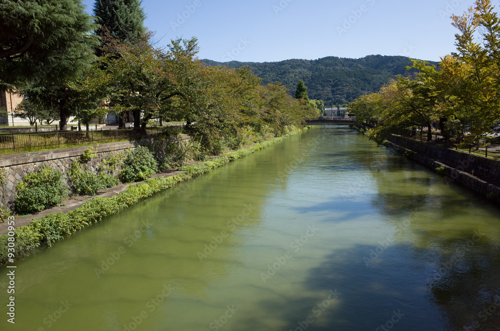 京都 平安神宮の川