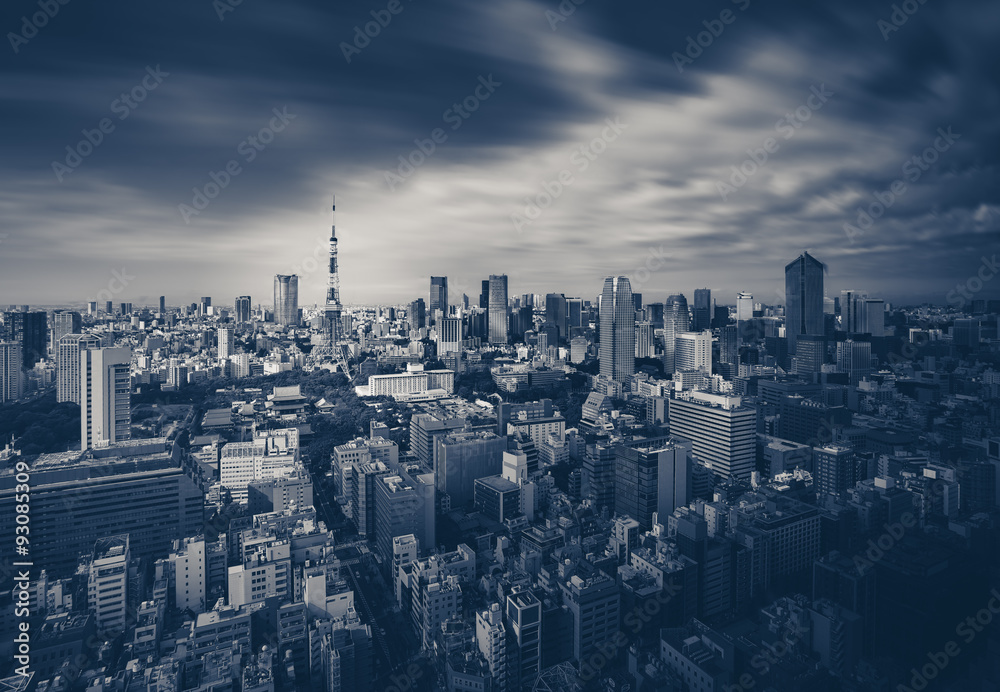 Tokyo city view and Tokyo Tower in dark tone