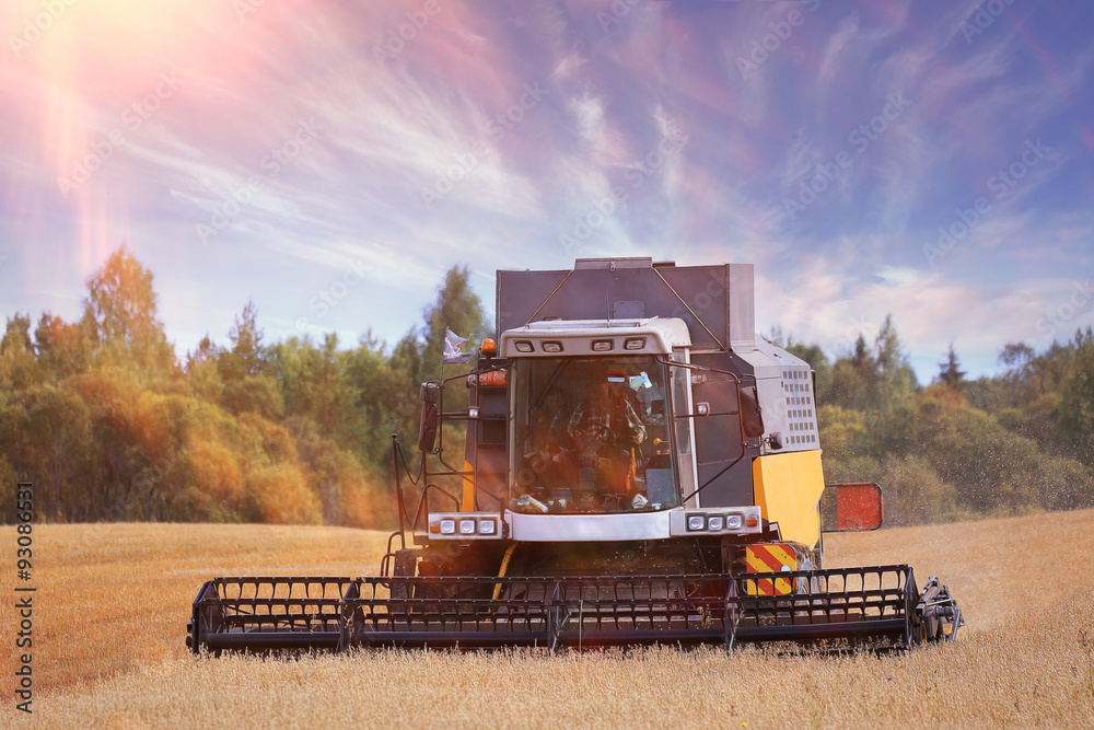 Fototapeta premium tractor in a field to harvest