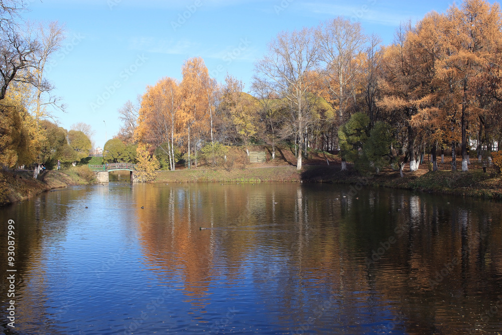 leaf fall in autumn park landscape