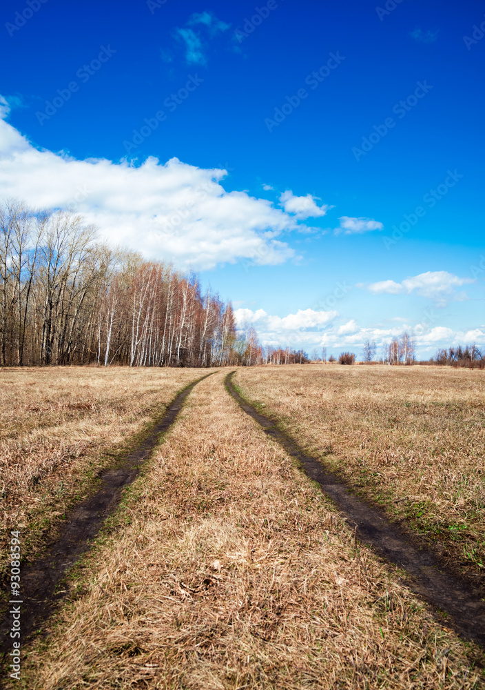 Obraz premium Beautiful rural landscape