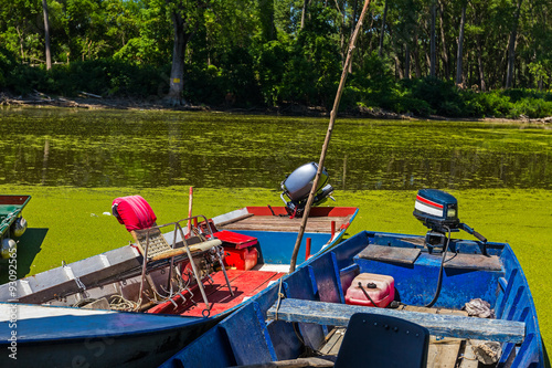 Wallpaper Mural Fishing boats beached on overgrown river with duckweed. Torontodigital.ca