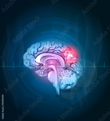 Brain cross section, arteries abstract background
