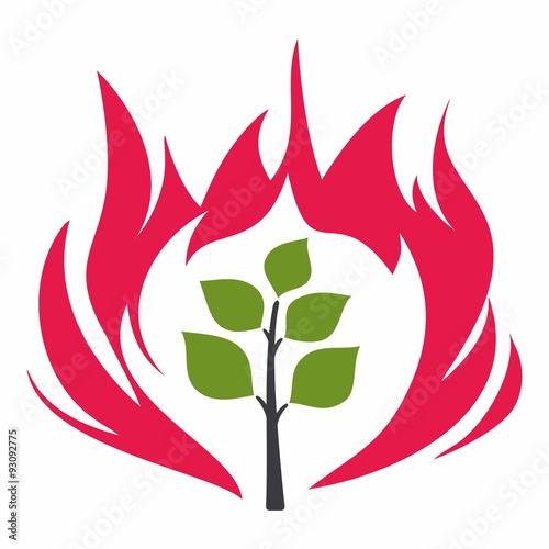 Burning bush