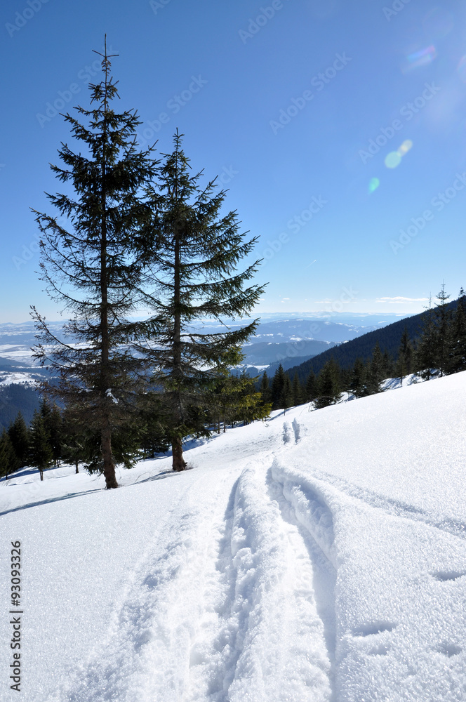 Backcountry ski tracks in fresh powder snow Backcountry ski tracks in fresh powder snow