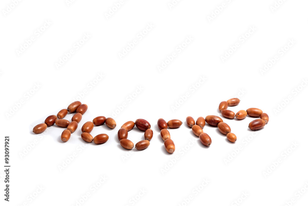 Acorns. Acorns.