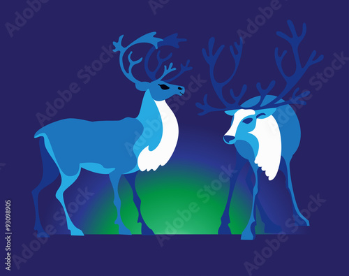 Two reindeers