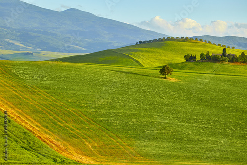 Green Tuscany hills © ZoomTeam