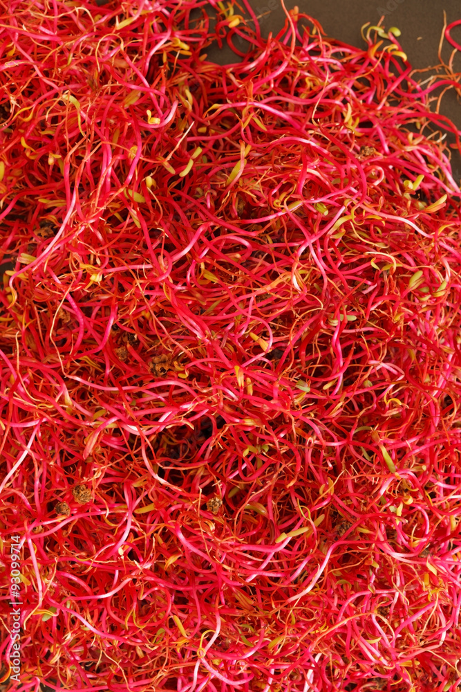 Naklejka premium beetroot sprouts