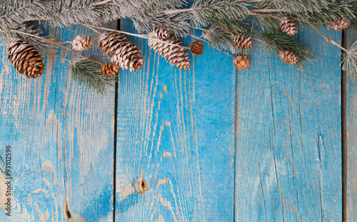 Christmas background with fir branches