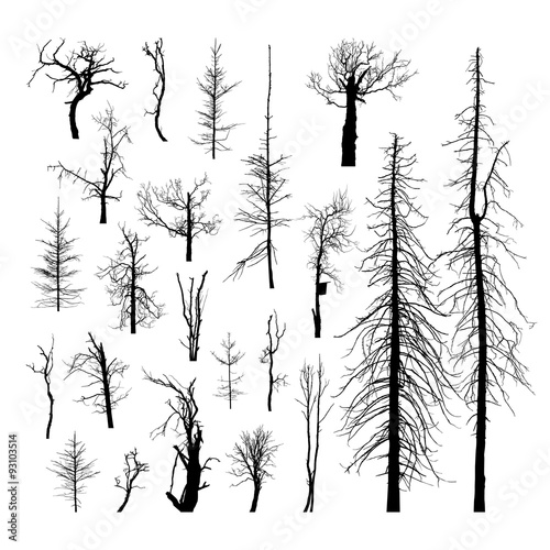 Set of dead trees