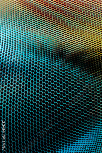 Extreme magnification - Dragonfly compound eye texture