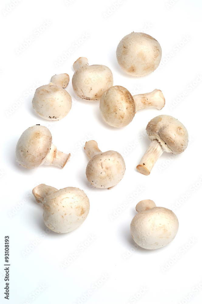 mushrooms mushrooms