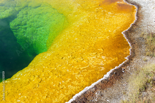 Morning Glory Hot Spring, colored by thermophilic bacteria, Upper Geyser Basin, Yellowstone National Park, Wyoming