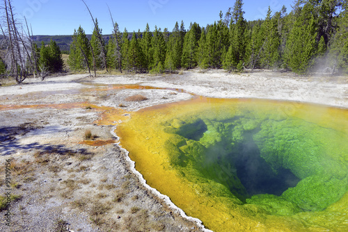 Morning Glory Hot Spring, colored by thermophilic bacteria, Upper Geyser Basin, Yellowstone National Park, Wyoming
