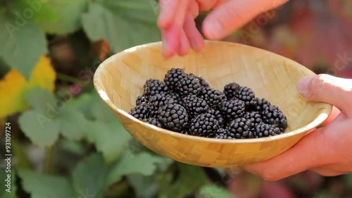 Man Putting Blackberry to Bowl