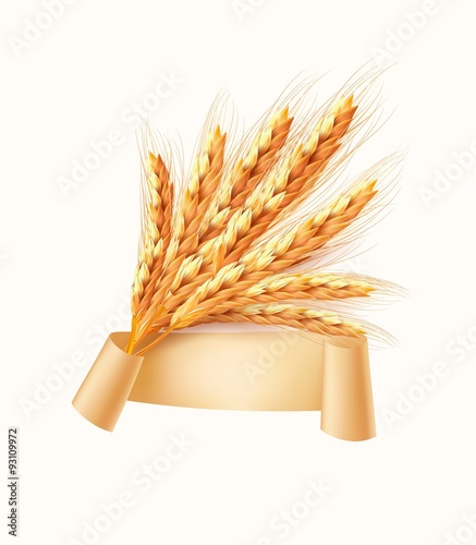 Ears of wheat. Vector illustration.