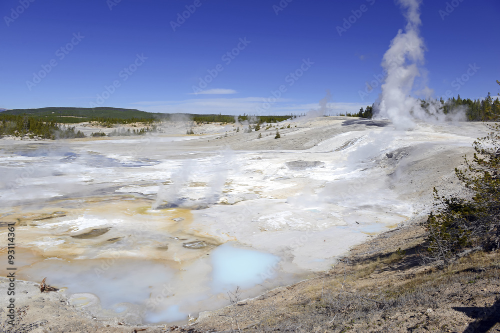Geothermal activity and colorful Bacteria mats of thermophilic microorganisms in the runoff of hot springs in Yellowstone National Park, Wyoming
