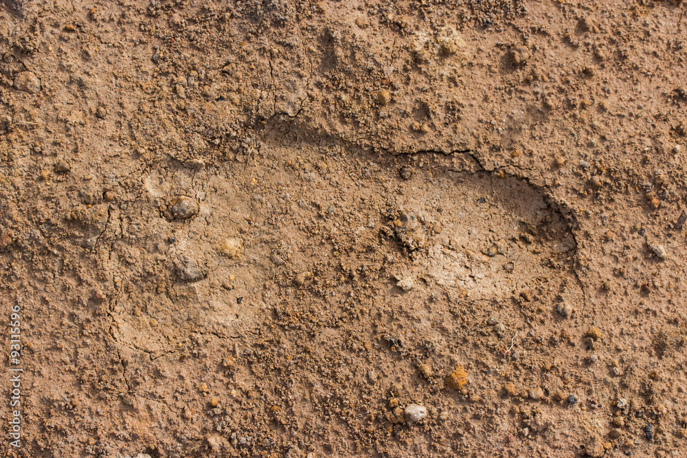 One human footstep in mud One human footstep in mud