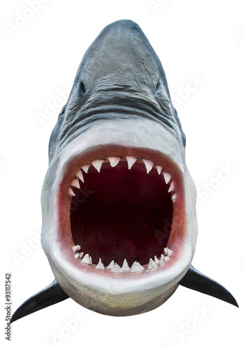 Model of shark with open mouth closeup. Isolated on white. Path included.