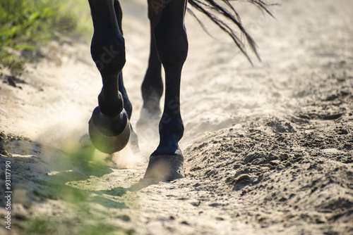 The hooves of walking horse in sand dust. Shallow DOF. photo