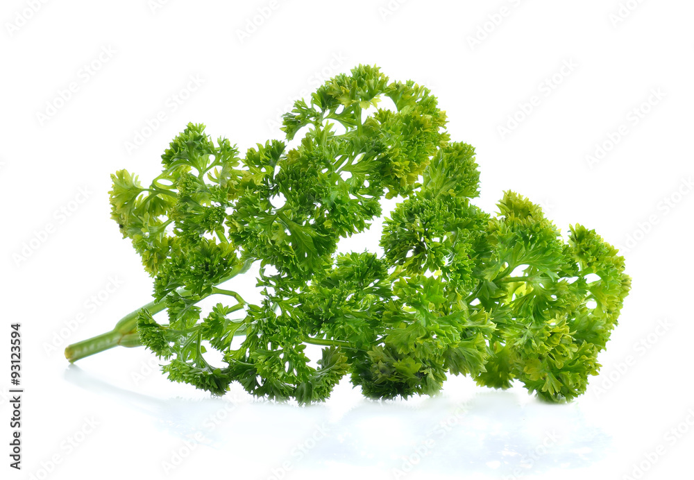 Fototapeta premium Parsley isolated on white background
