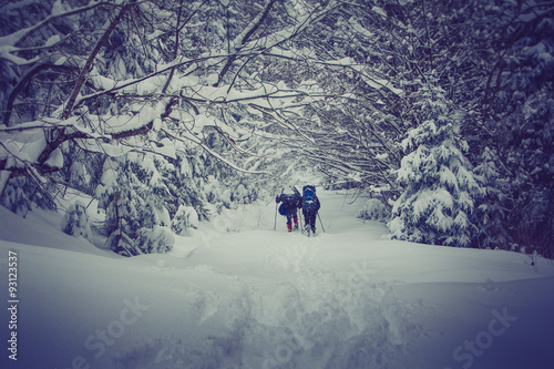 Travelers with a backpacks walking along the road through the forest in the winter mountains.