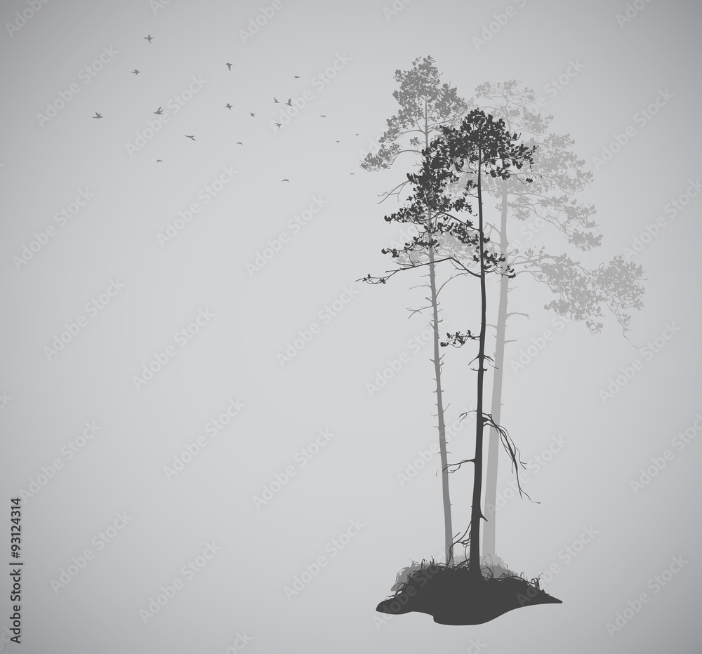 air landscape with silhouettes of pine trees and a flock of bird