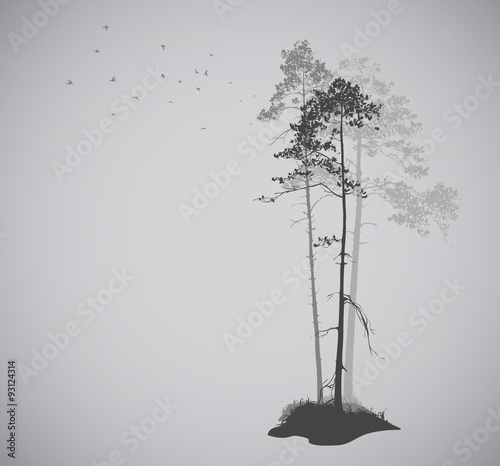 air landscape with silhouettes of pine trees and a flock of bird