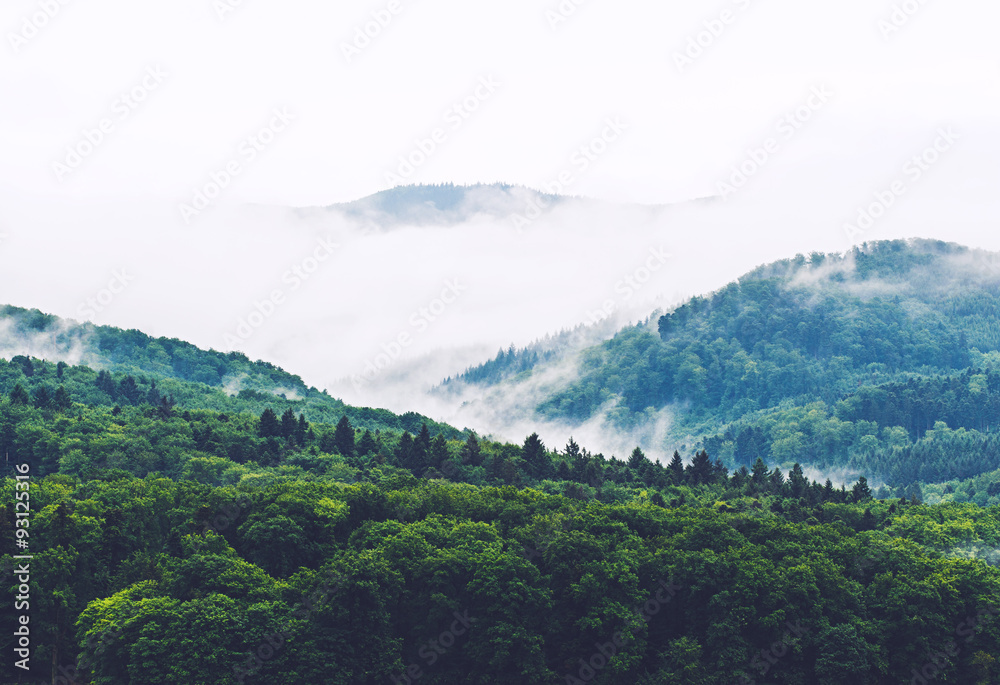 Mountain landscape with mountain forest in fog. Germany, Black forest. Filtered.