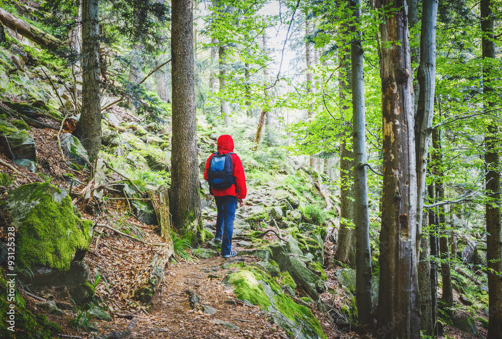 Traveler wearing red raincoat and a rucksack climbing up a mountain in mountain forest in summer. Vintage effect, toned.