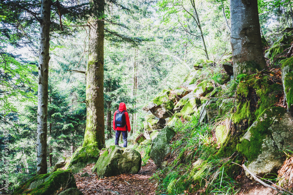 Obraz premium Hiker wearing red raincoat and a rucksack standing in mountain forest in summer. Vintage effect, toned.
