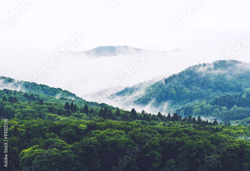 Mountain landscape with mountain forest in fog. Germany, Black forest. Filtered. photo