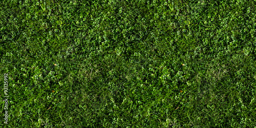 Beautiful seamless tiled green grass texture