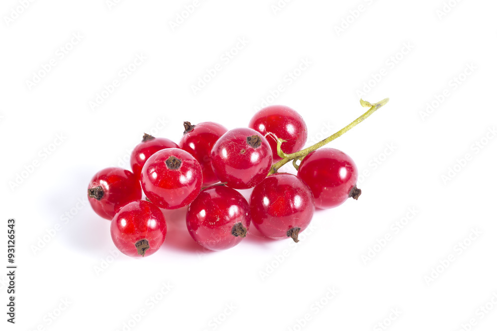 Red currant close up isolated on white