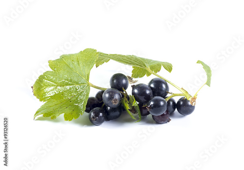 Black currant berries on a piece of a branch with green leaves i