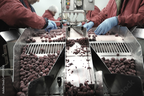 Closeup scene of food factory manual workers in production line for inspecting, selecting and packaging of frozen fruits.