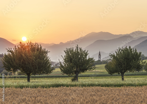 Sunset over the Wheat Field. Photograph was taken in a village R