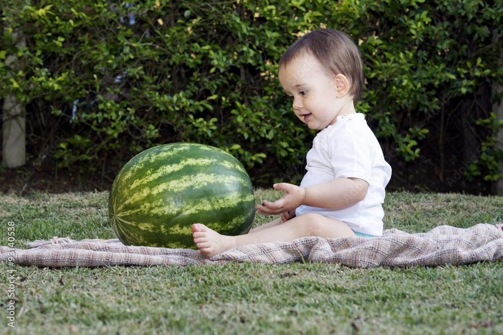 Fototapeta premium Baby looking and playing with a watermelon