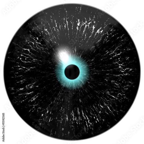 Black alien, bird or reptile eye with blue circle around the narrow pupil