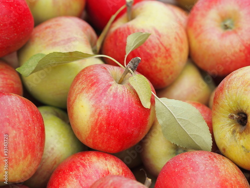 Pile of fresh ripe red apples (variety Champion) at farmers market in Prague (Czech Republic). photo