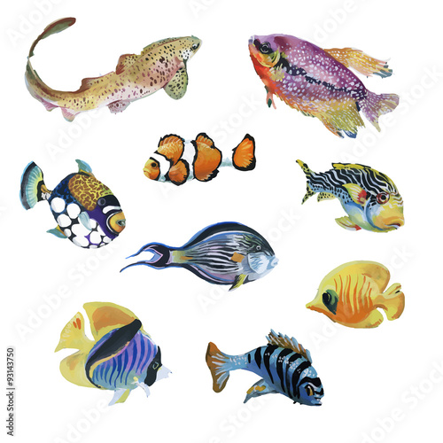 Marine life watercolor set with Tropical fish 
